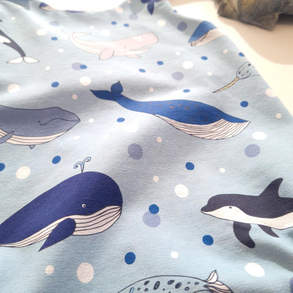 Reef Doudou
